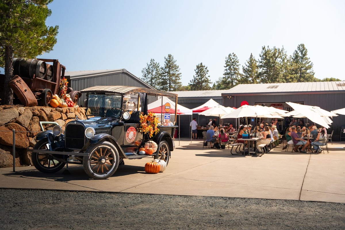 Driven Cellars