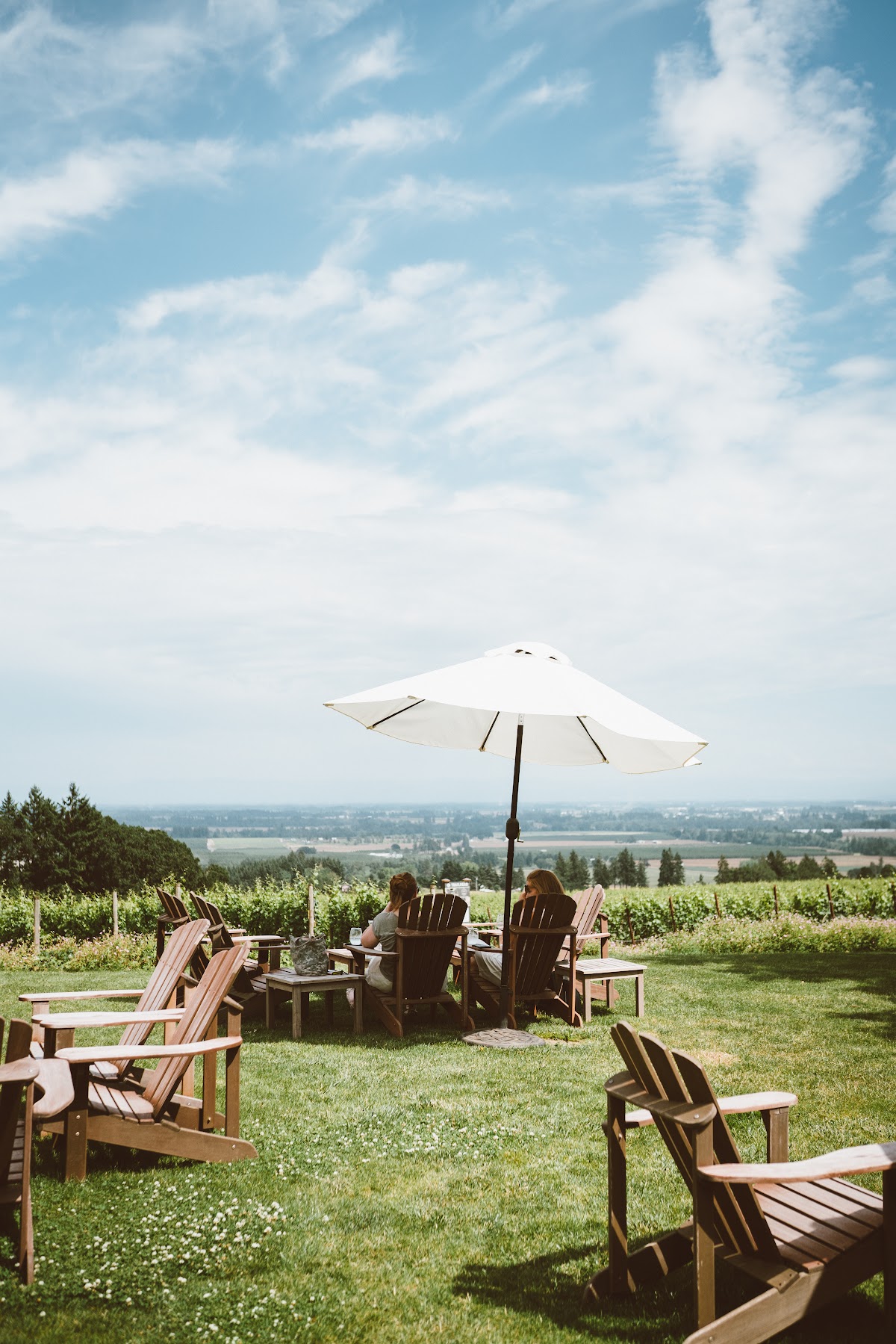 Durant Vineyards