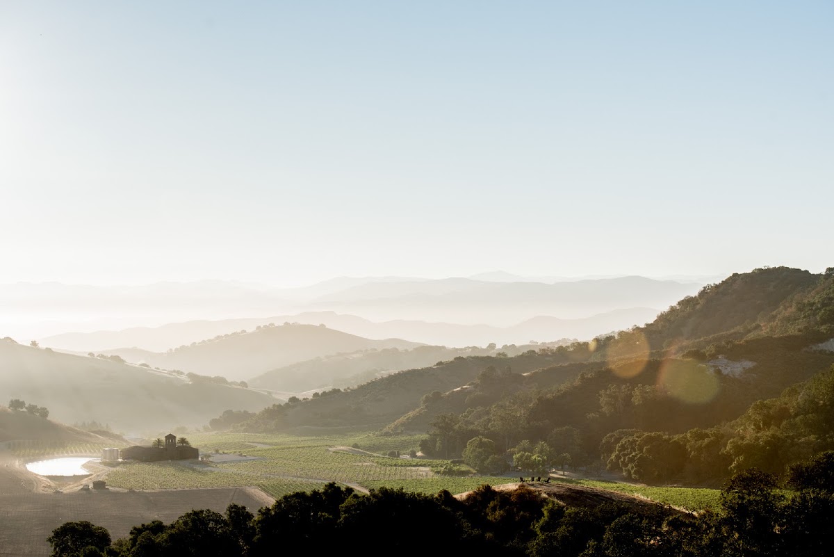 EDEN RIFT VINEYARDS