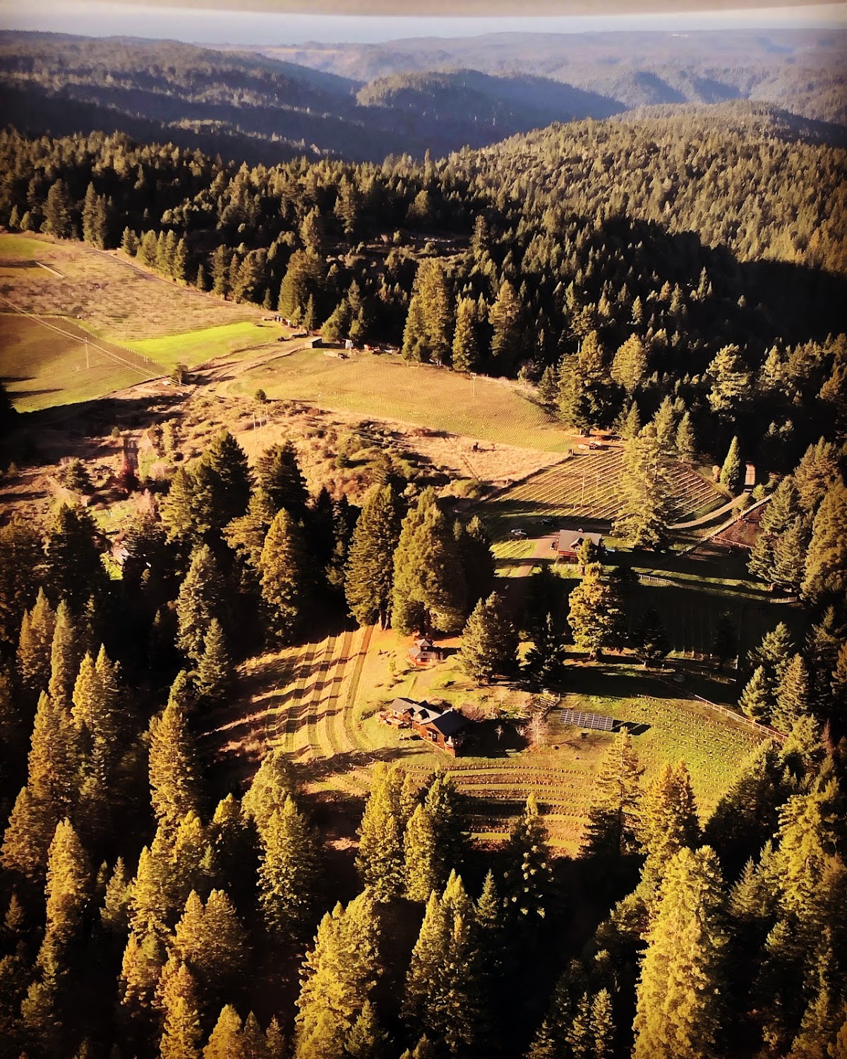 Ellsworth Wines