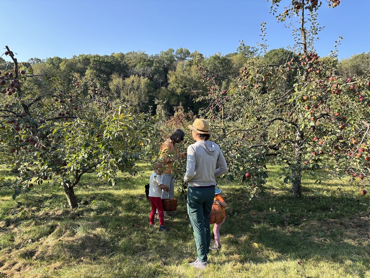 Elm Tree Farm