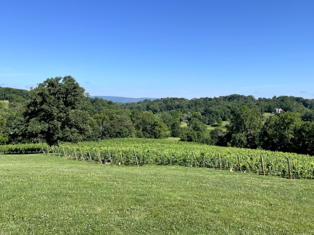 Endhardt Vineyards