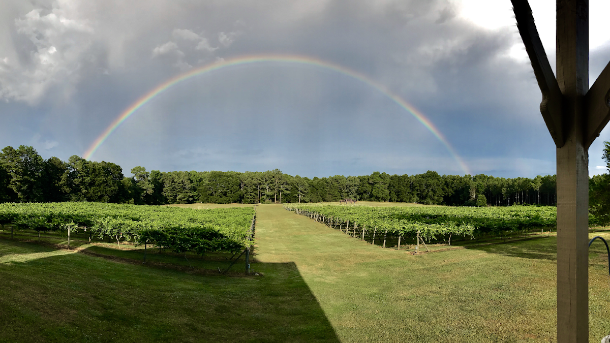 ENOREE RIVER WINERY, LLC