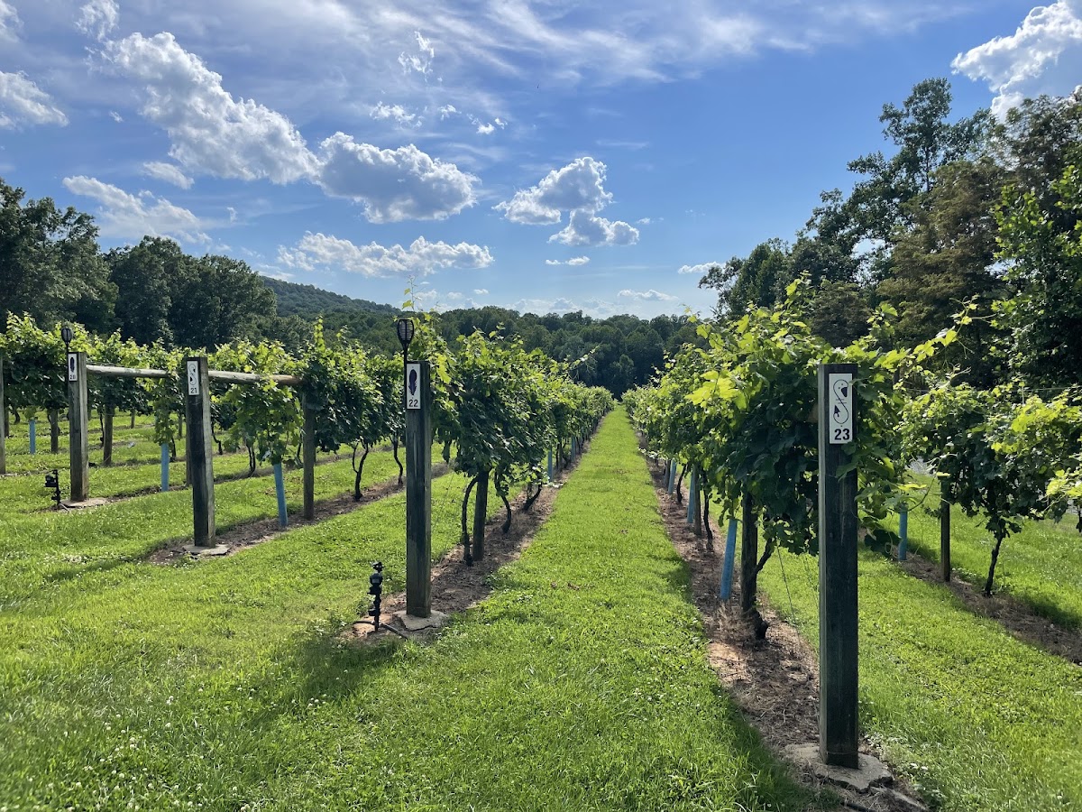 Fables & Feathers Winery