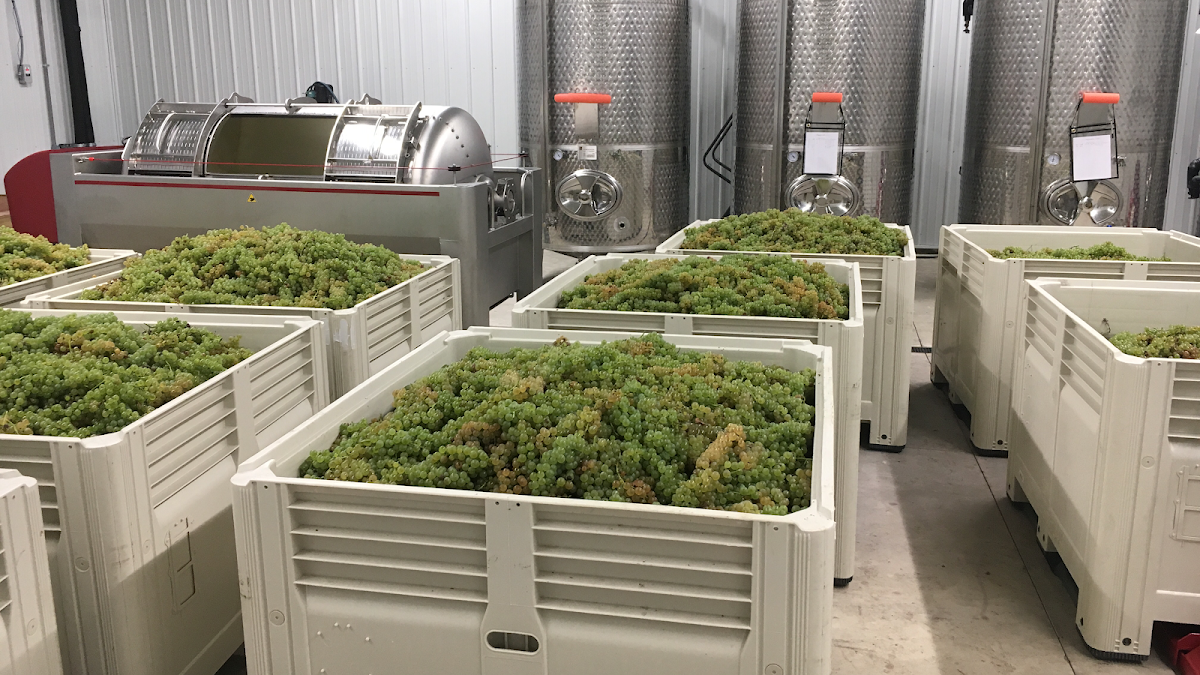 Five Vines Winery, LLC