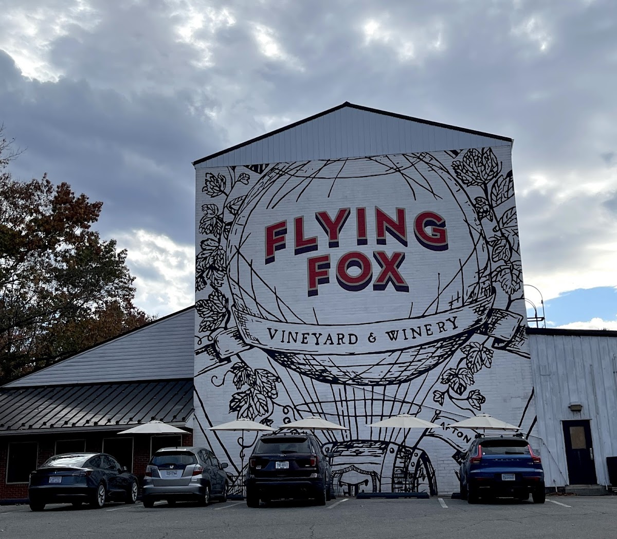 Flying Fox Vineyard