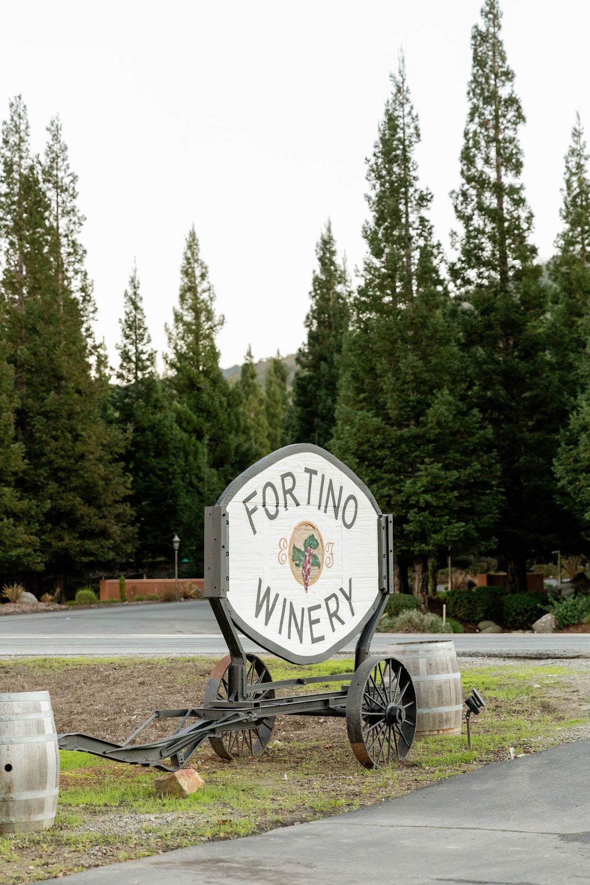 FORTINO WINERY