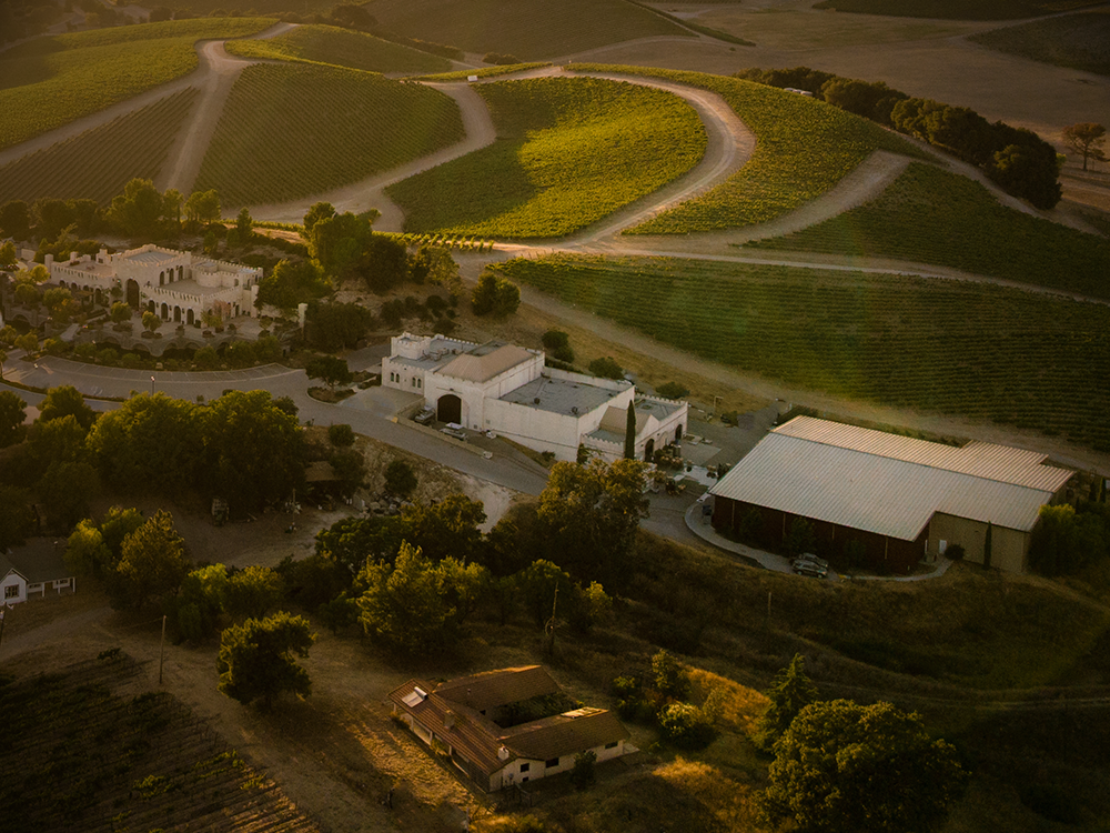 FORTRESS VINEYARDS