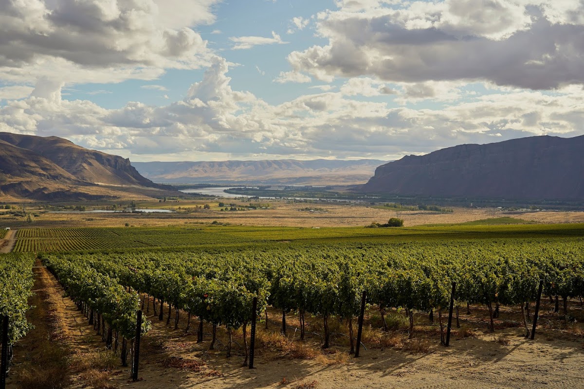 Four Feathers Wine Estates