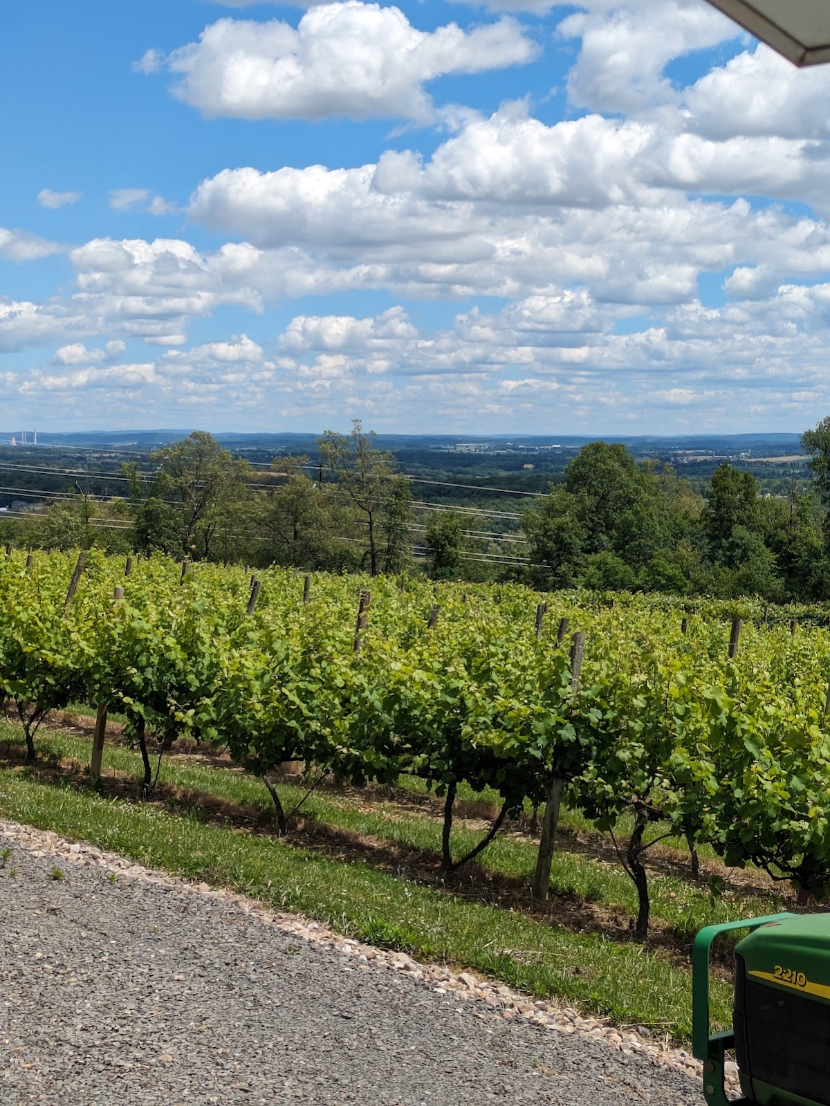 Four Friends Vineyard & Winery