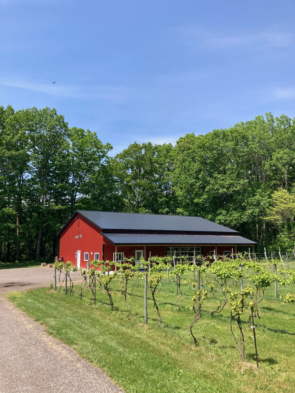 FOX AND HEN WINERY LLC