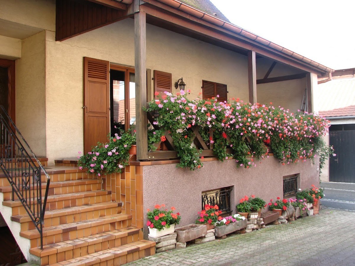 Domaine Schaeffer