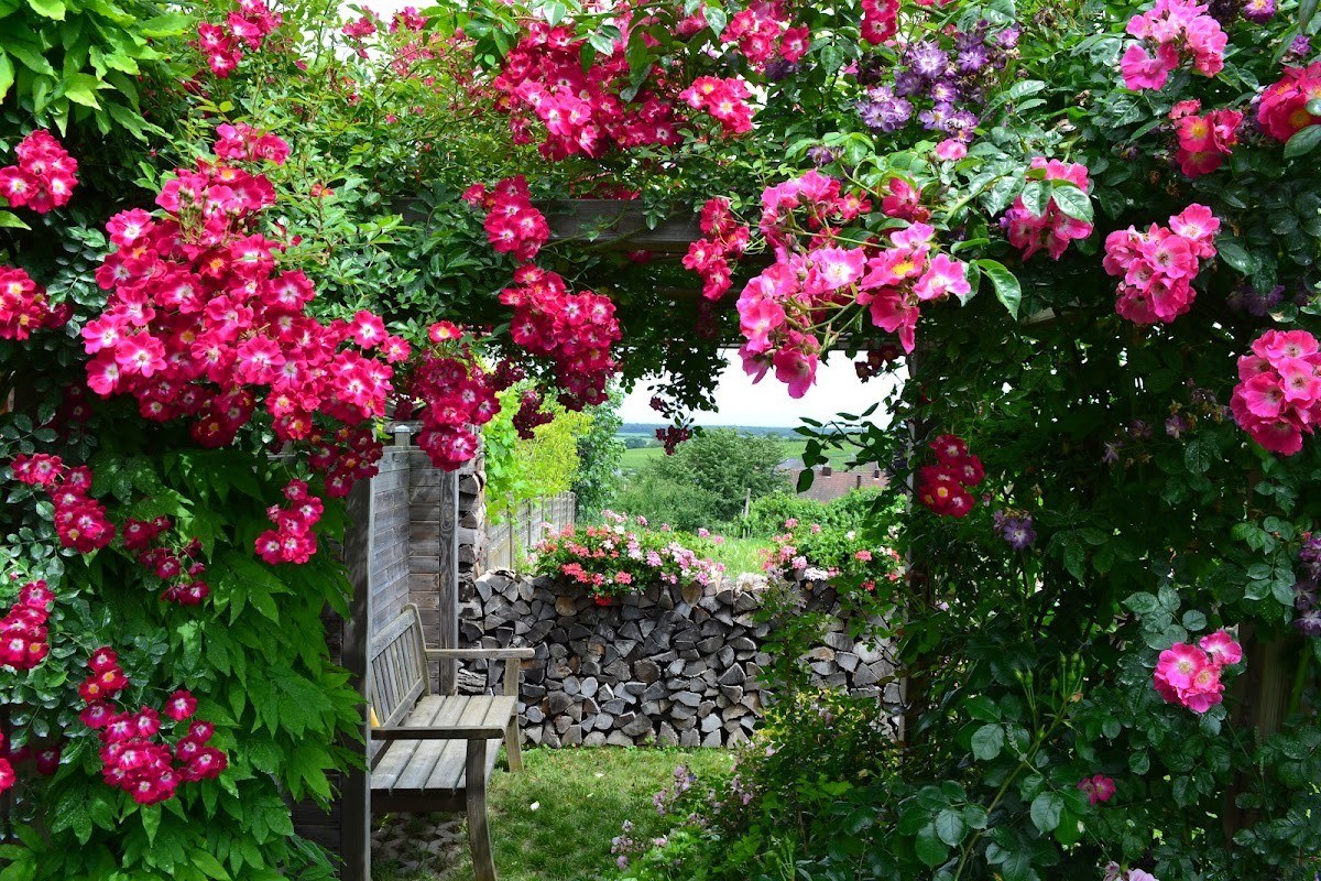 Domaine Fluhr-Ohlenburg