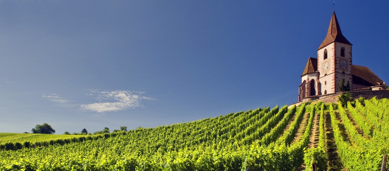 Domaine David Ermel