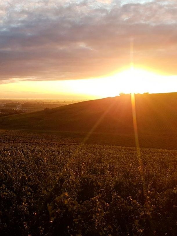 Domaine Guillaume Jost - Domaine Des Lilas