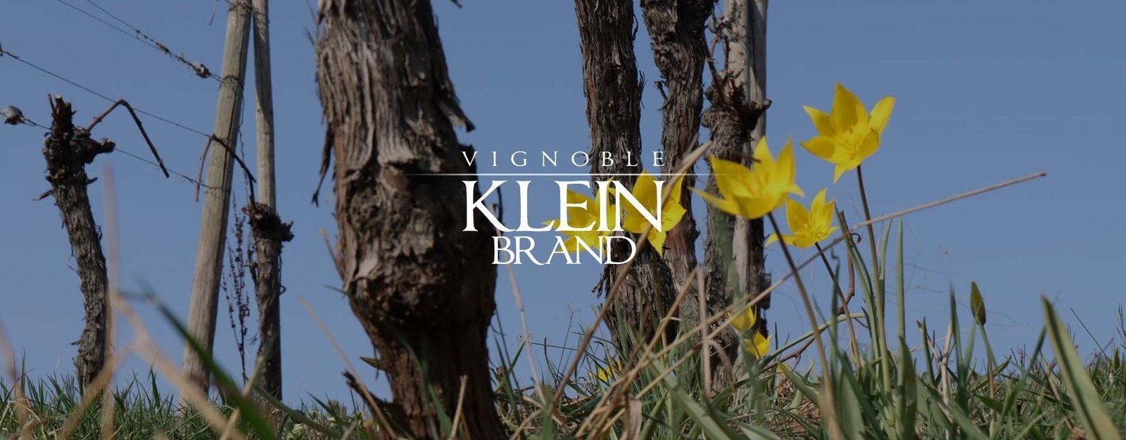 Klein-Brand