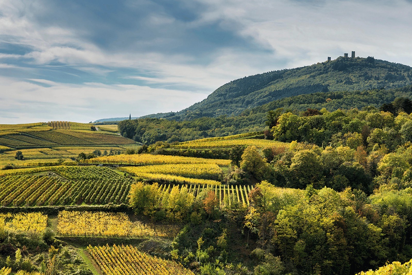 Domaine Du Moulin De Dusenbach