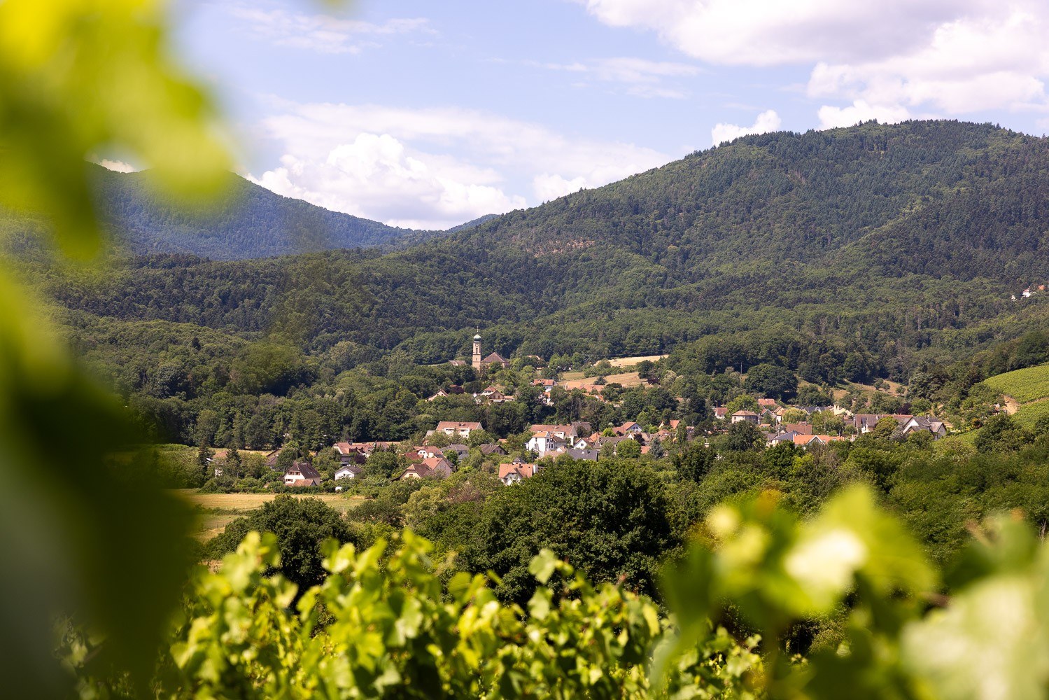 Domaine Weinzaepfel