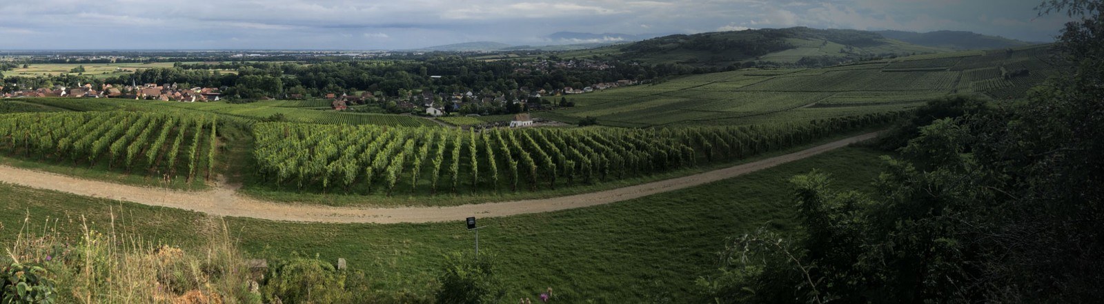 Domaine Siebert - Scea L'Altenberg