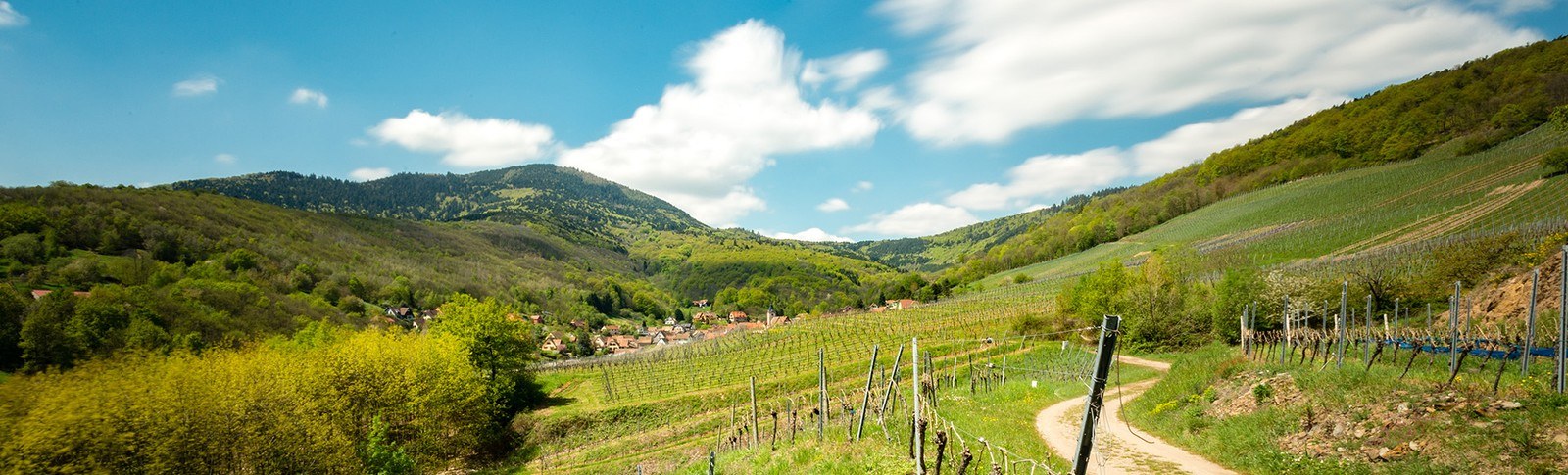 Domaine Léon Bleesz