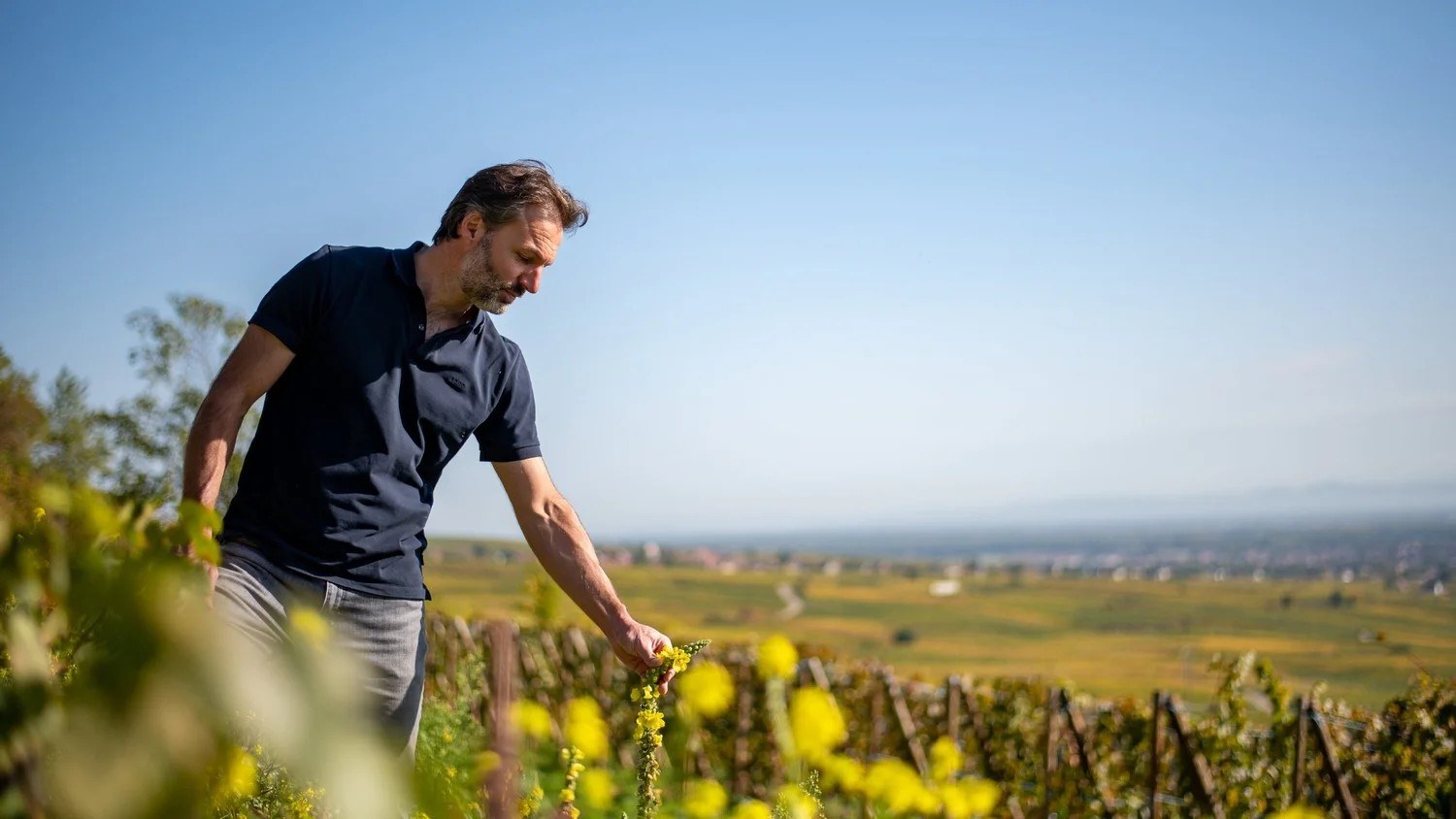 Domaine Zinck Paul