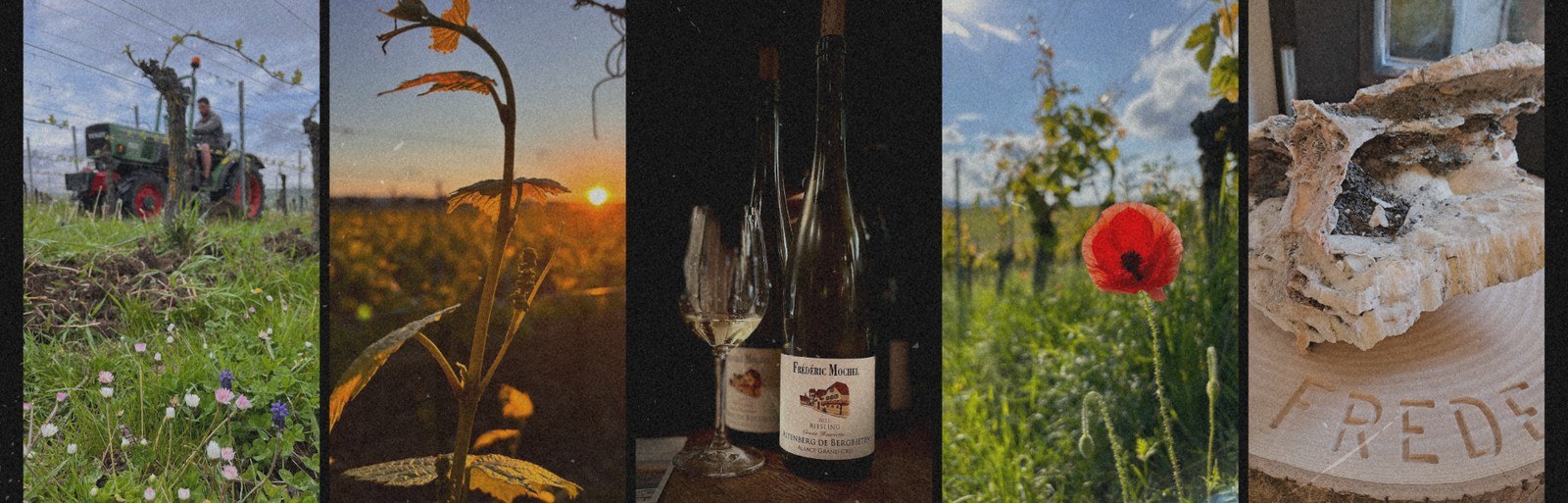 Domaine Mochel Frédéric Et Fils