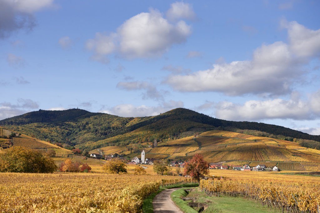 Domaine De L'Envol