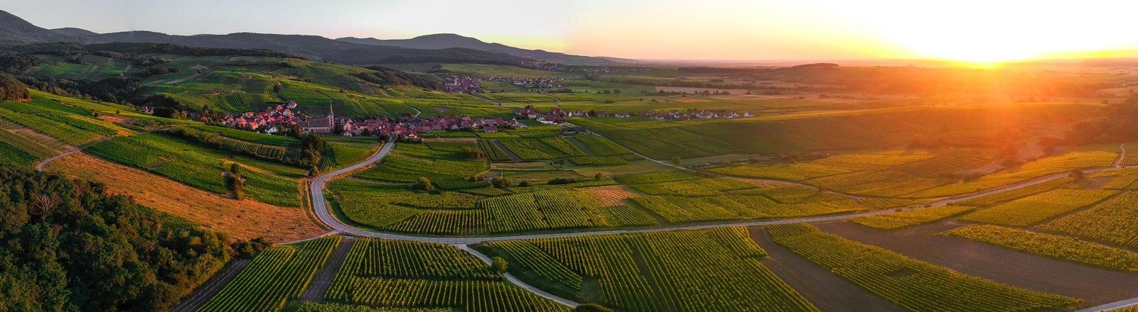 Domaine Wassler