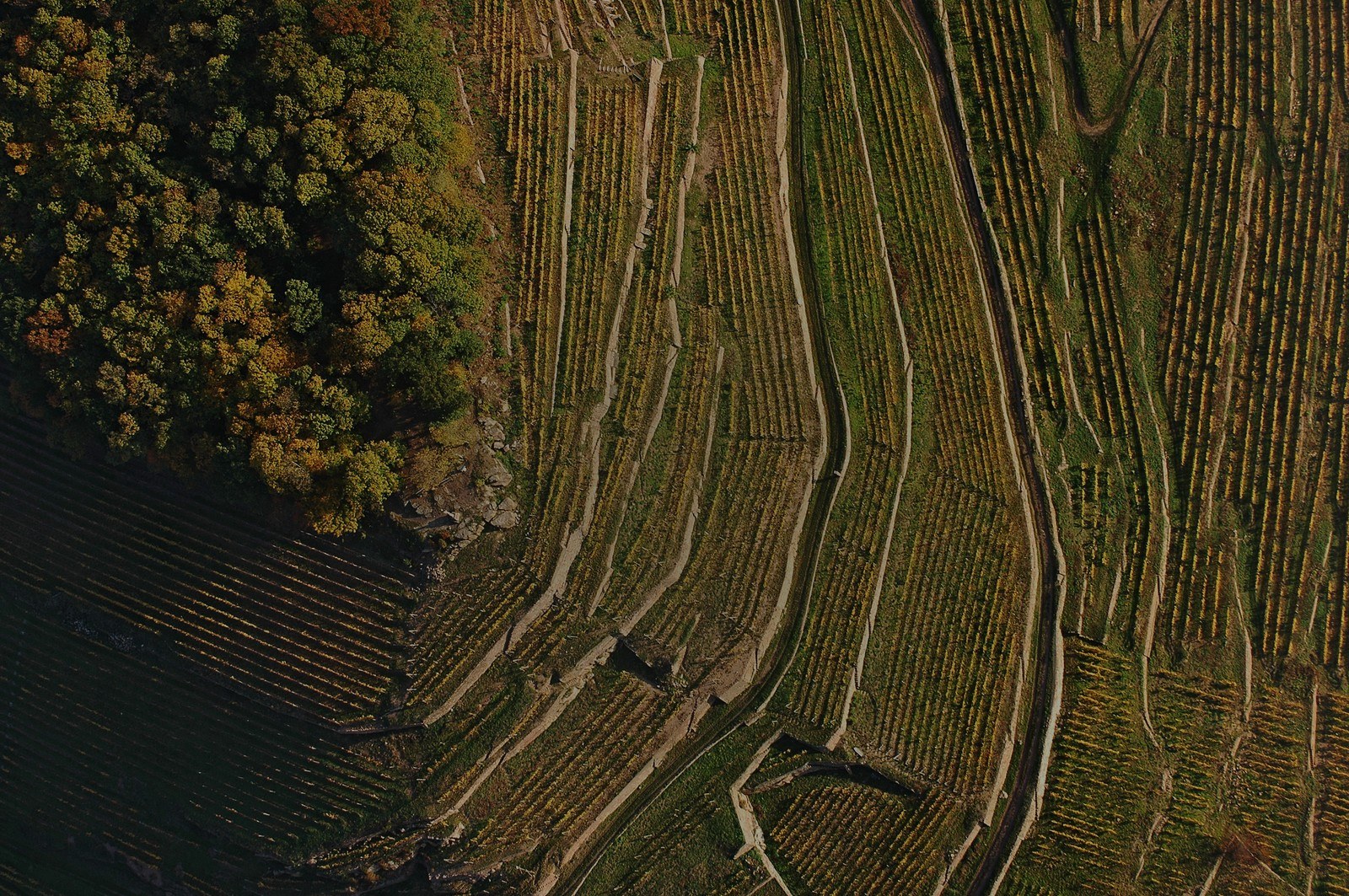 Domaine Loberger