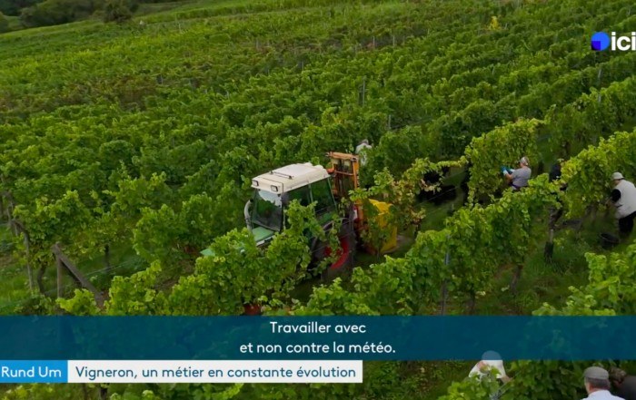 Domaine Gresser