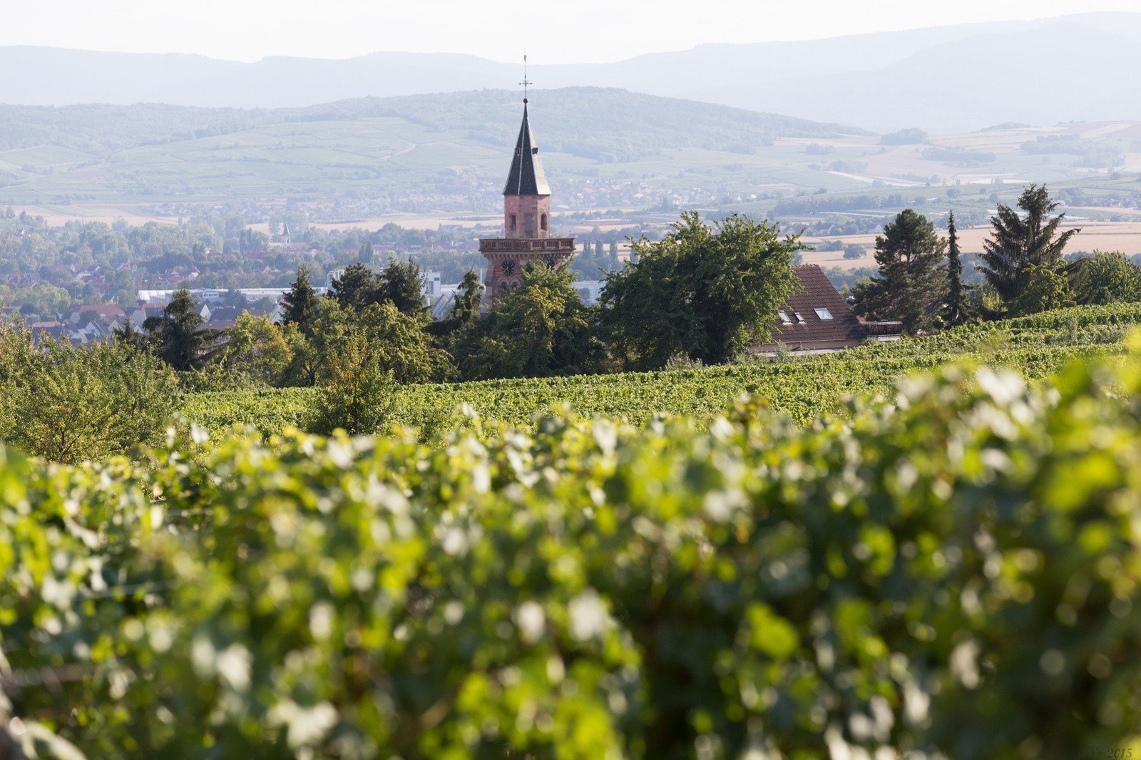 Domaine Hubert Reyser