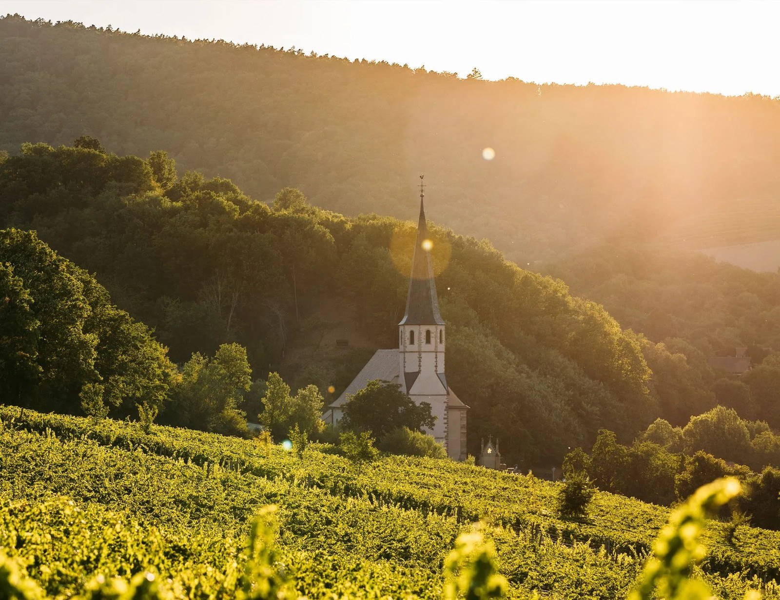 Domaine Wach
