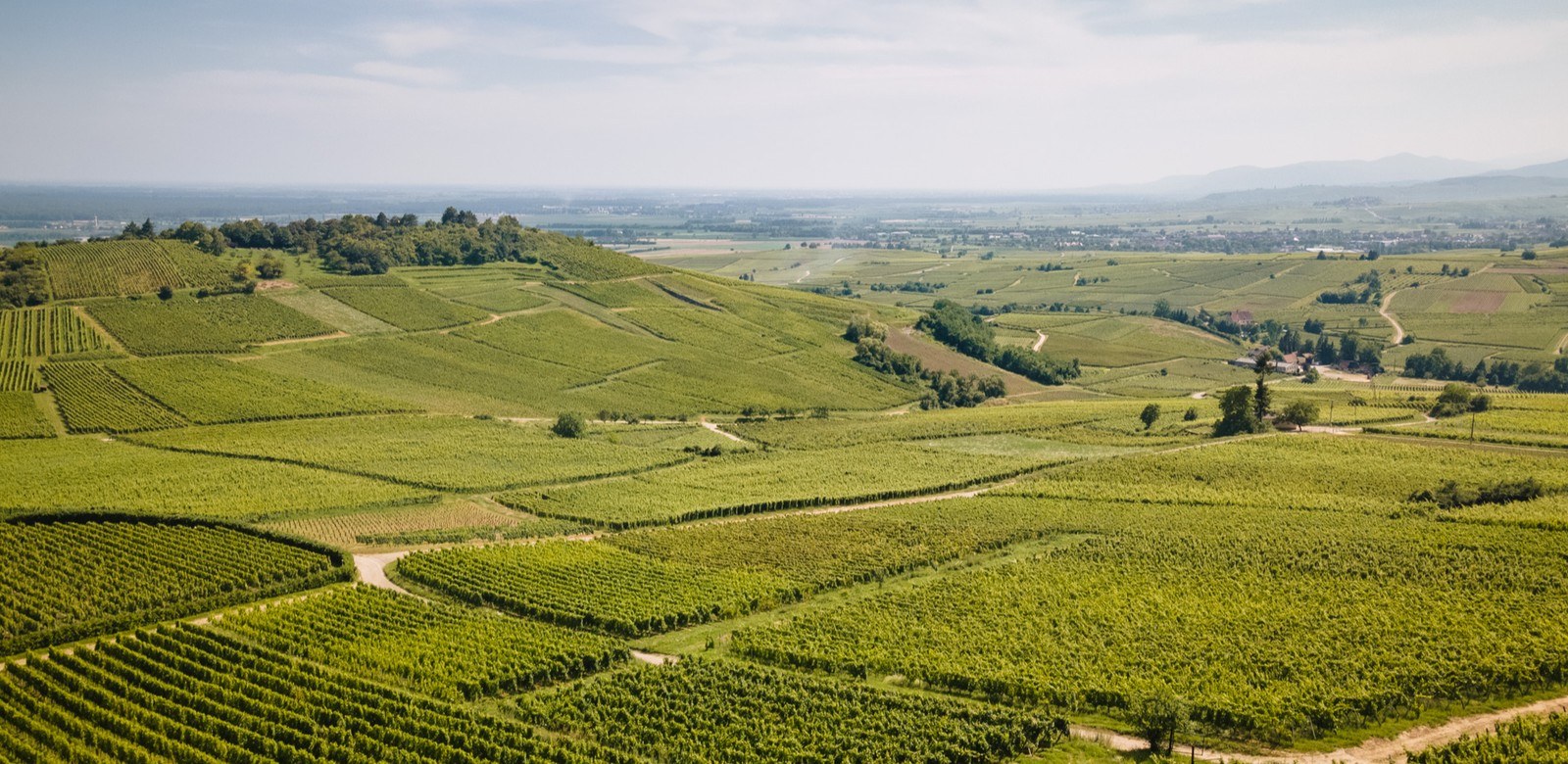 Domaine Mittnacht Klack