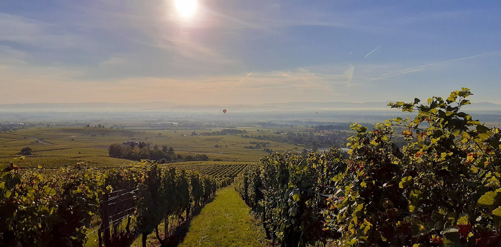 Domaine Fabien Stirn
