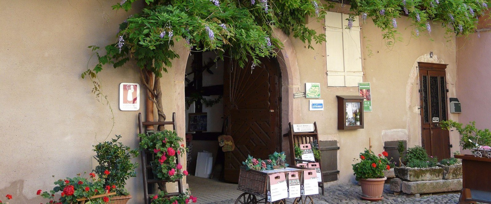 Bronner Bernard