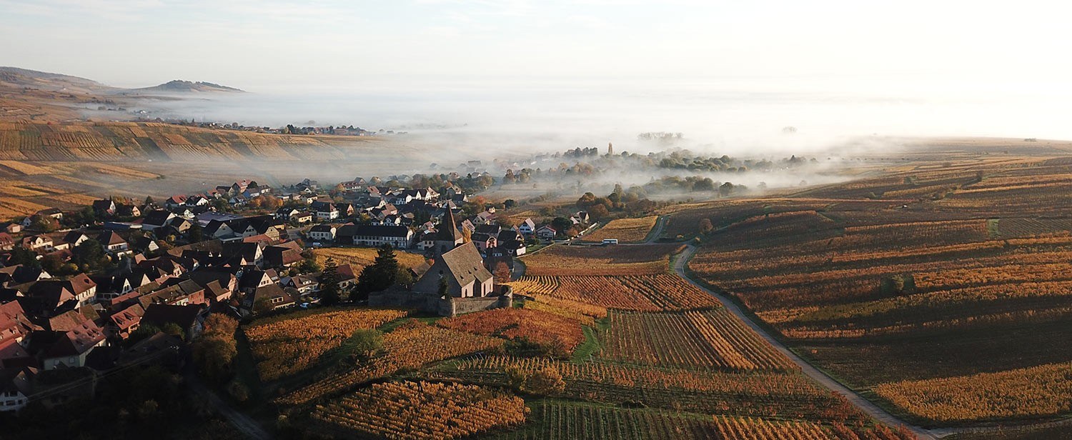 Domaine Mittnacht Frères
