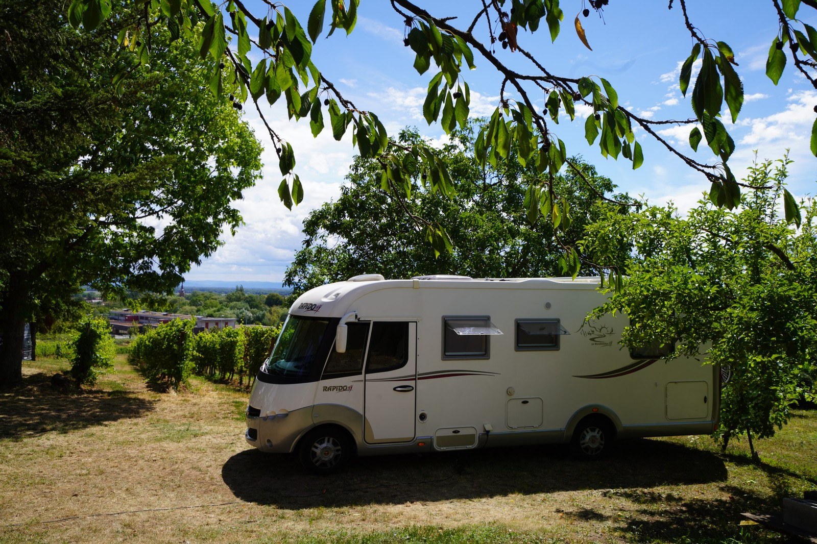 Domaine Bachert Noëlle