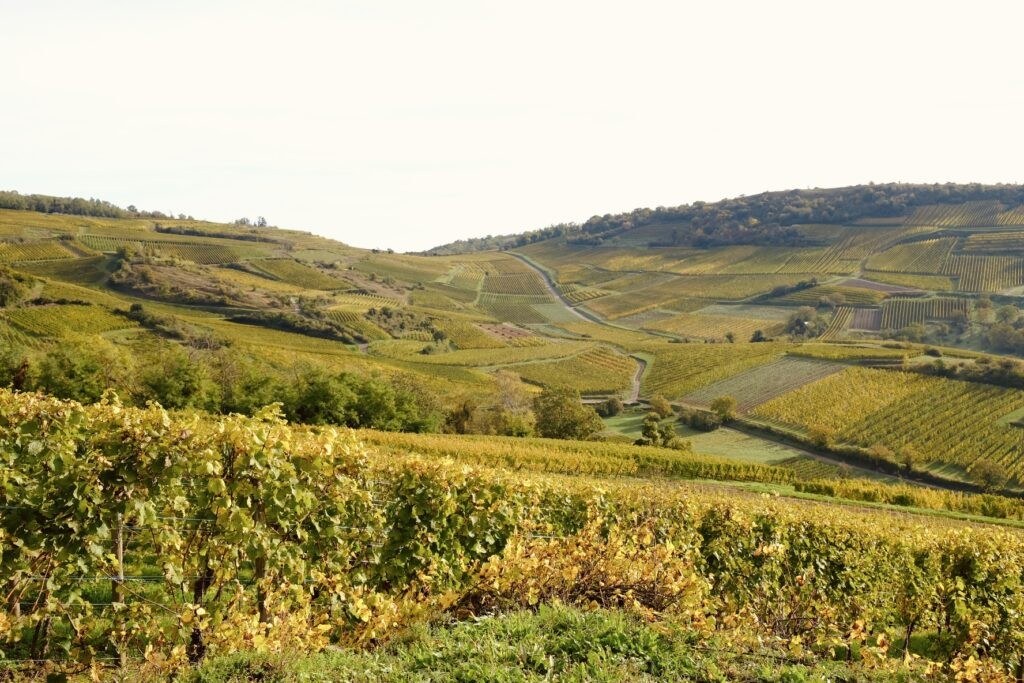 Domaine Schlegel-Boeglin