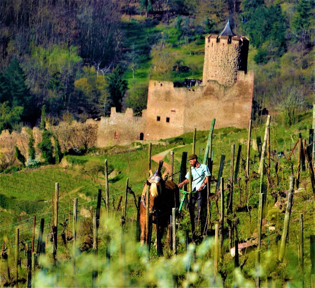 La Ferme Sans Nom