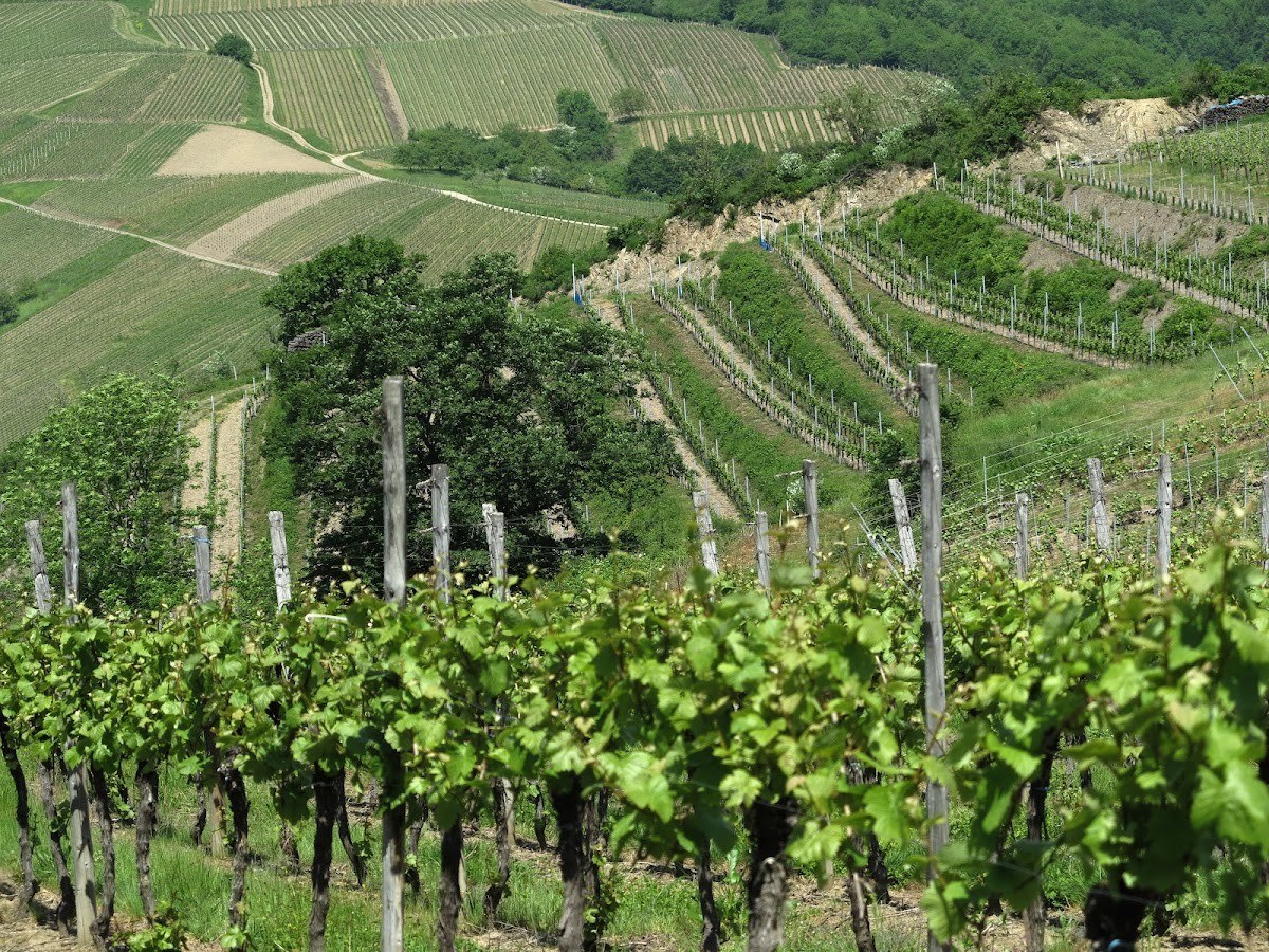 Domaine Barthel Christian