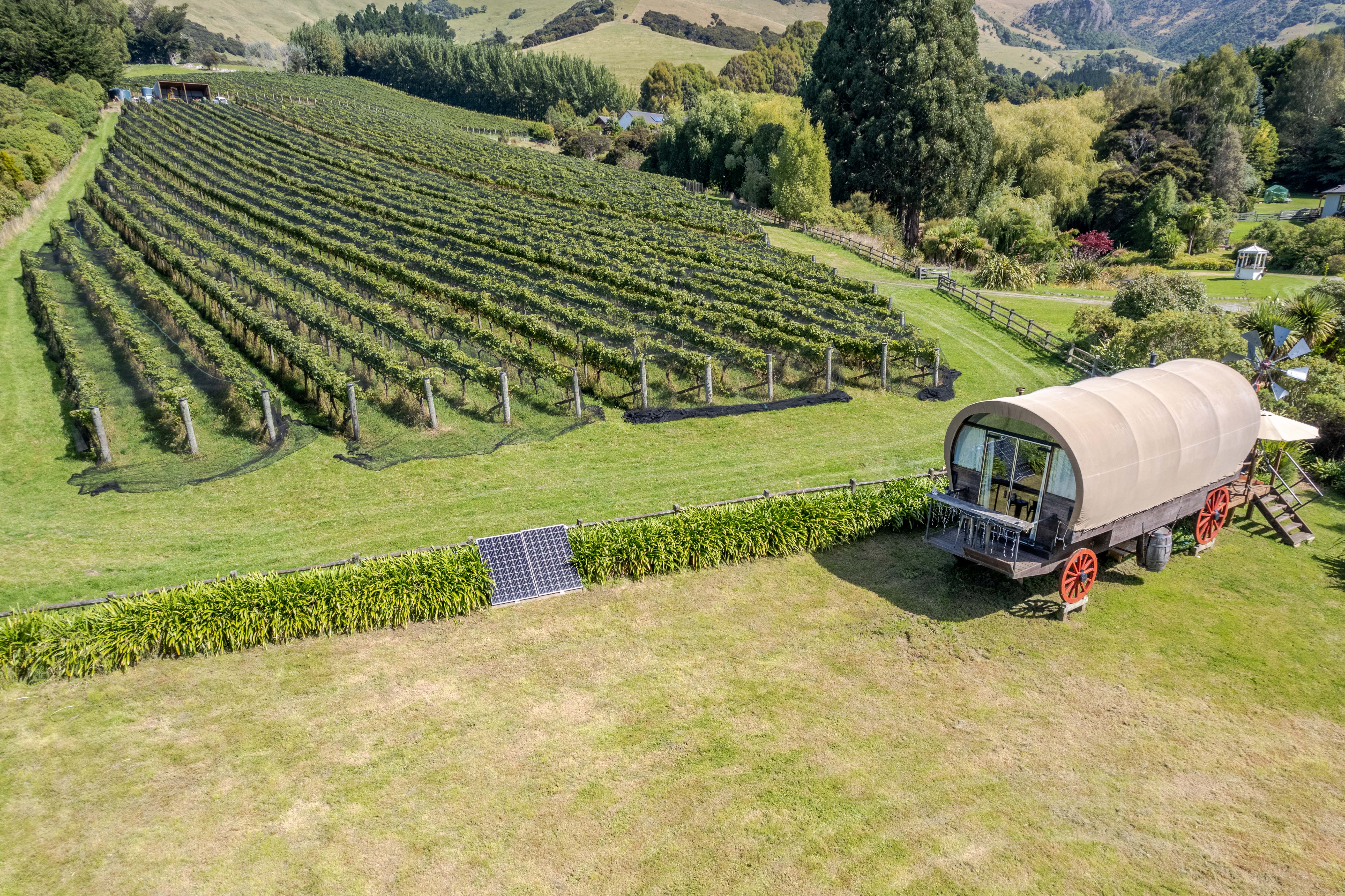 French Peak Vineyard