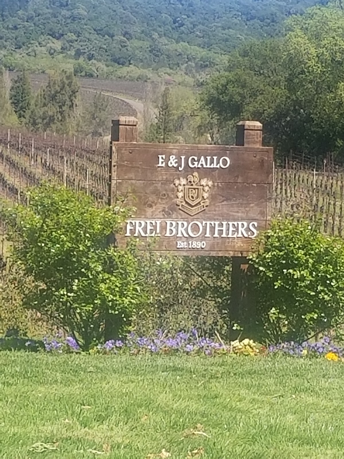 Gallo Family Vineyards