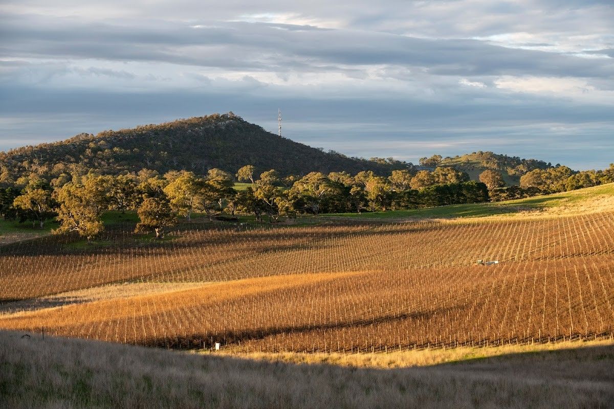 Berrigan Wines