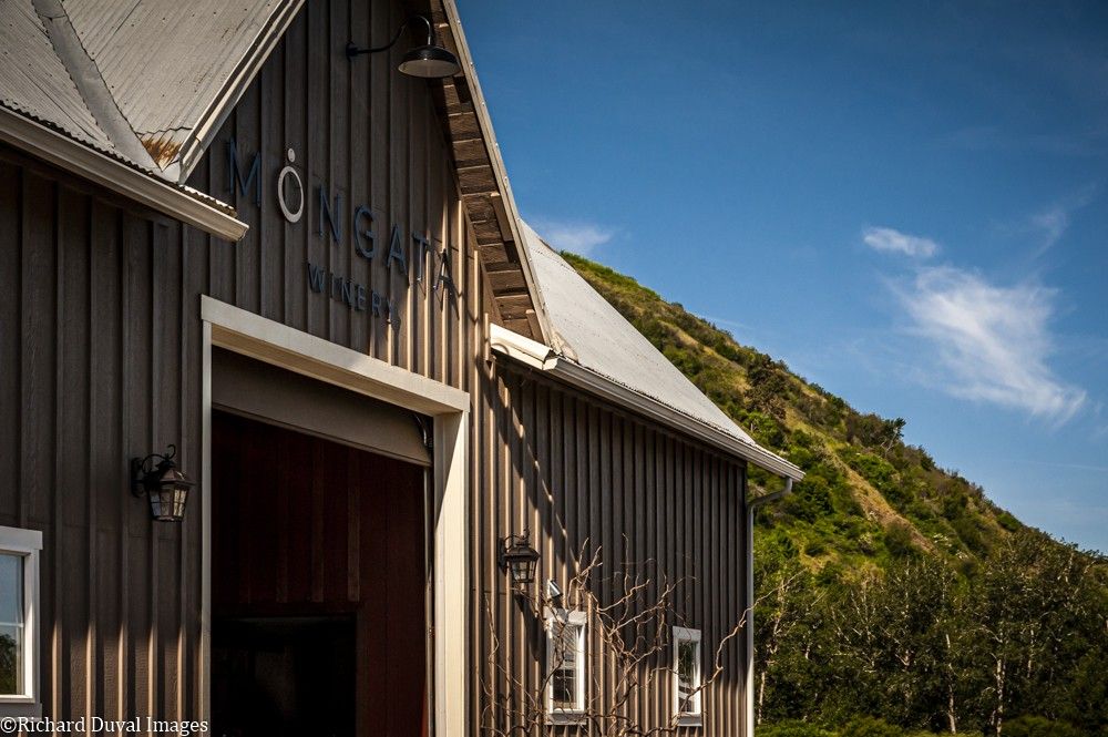 Mongata Winery at Resurgent Vineyard