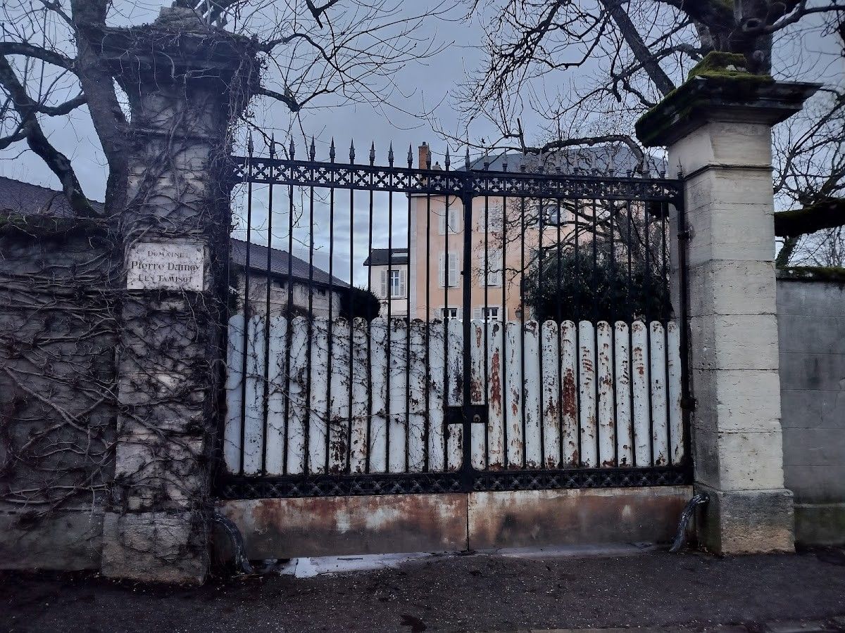 Domaine Pierre Damoy