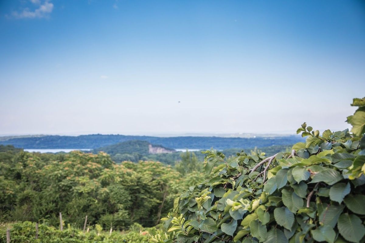 Benmarl Wine Co