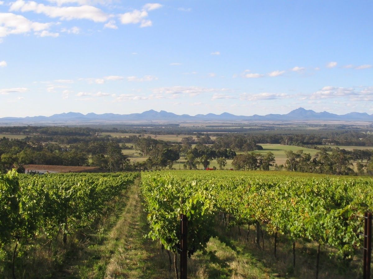 Mount Trio Vineyard
