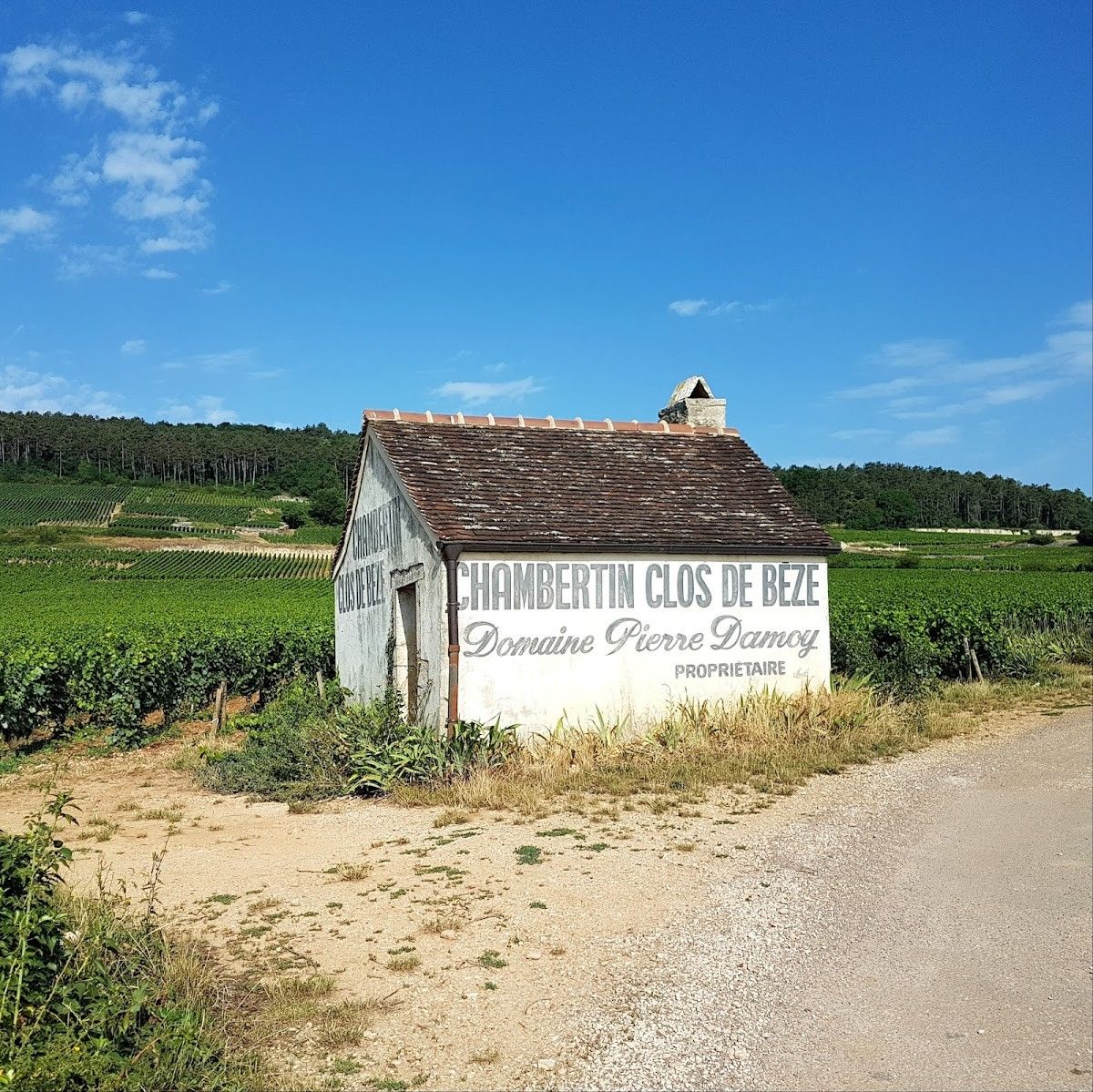 Domaine Maume