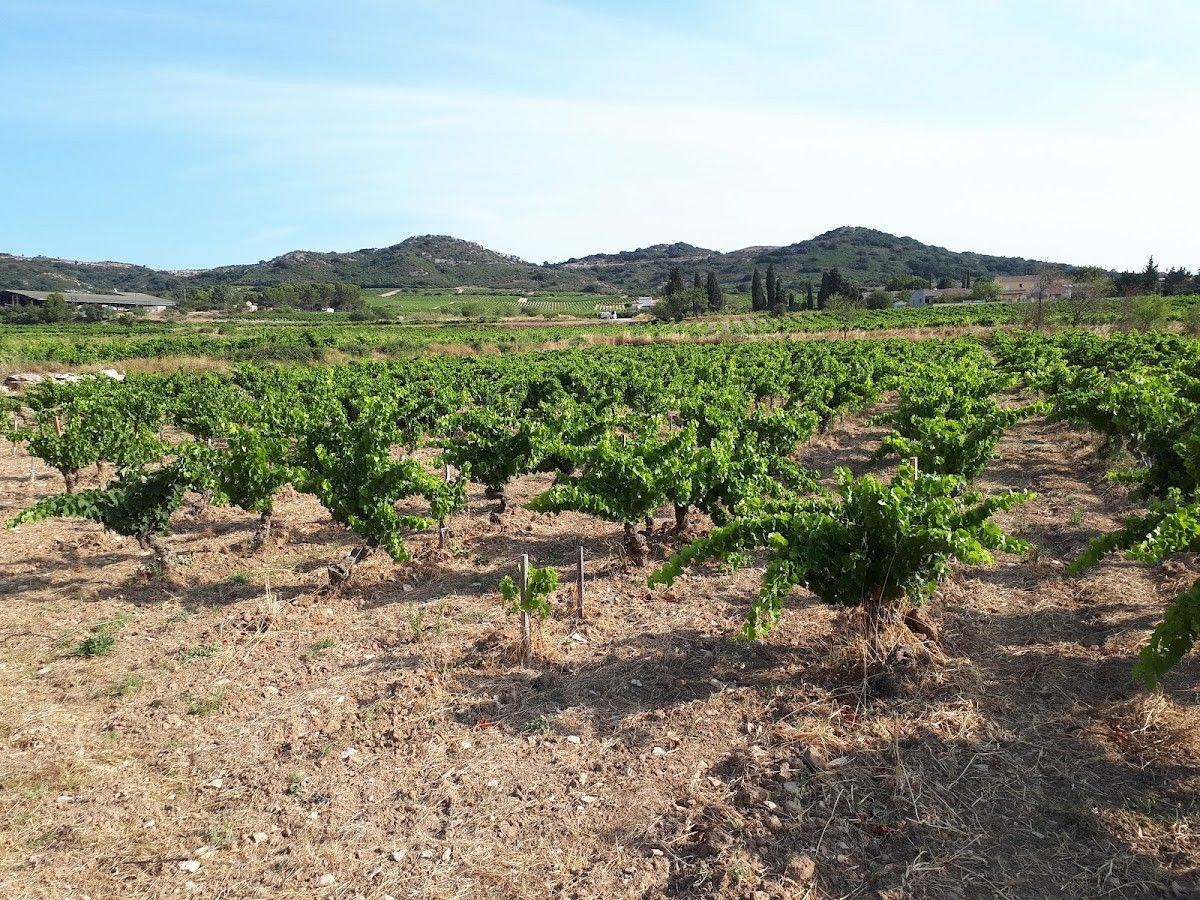 Domaine Moulin-La-Viguerie