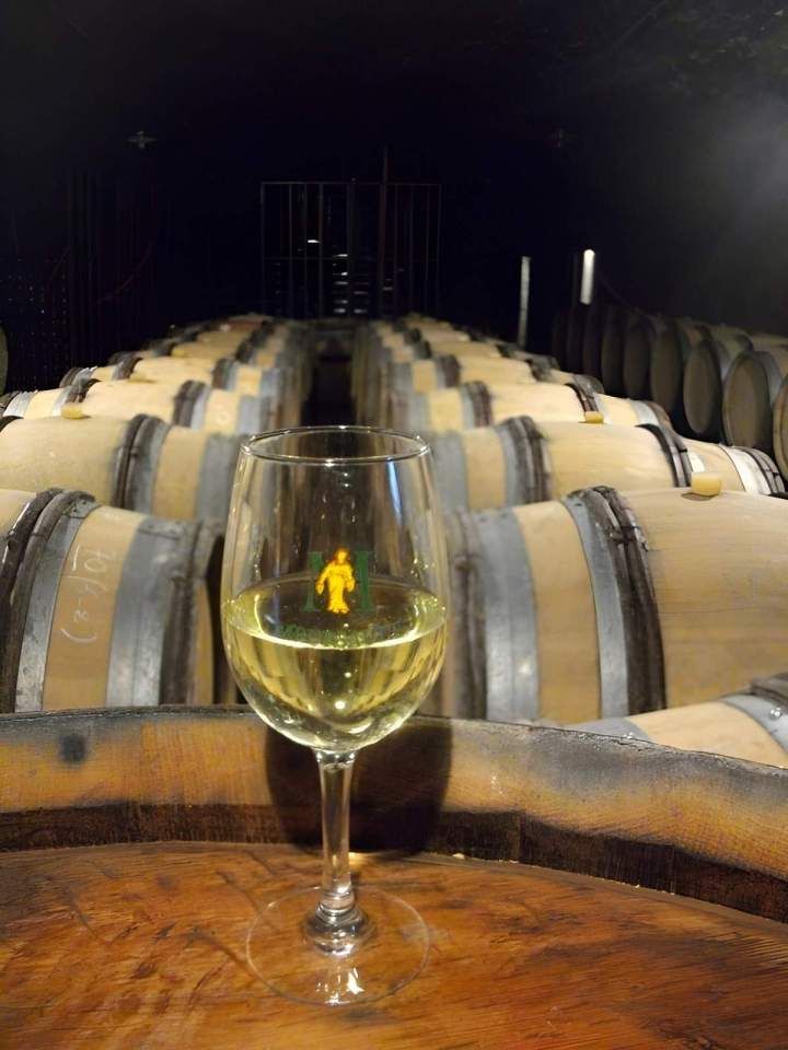 Domaine Jobard-Morey